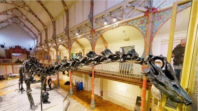 Dippy the Dinosaur